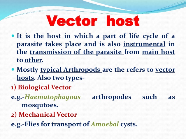 638x479 Type Of Parasite Host