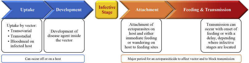 809x205 Blocking Transmission Of Vector Borne Diseases