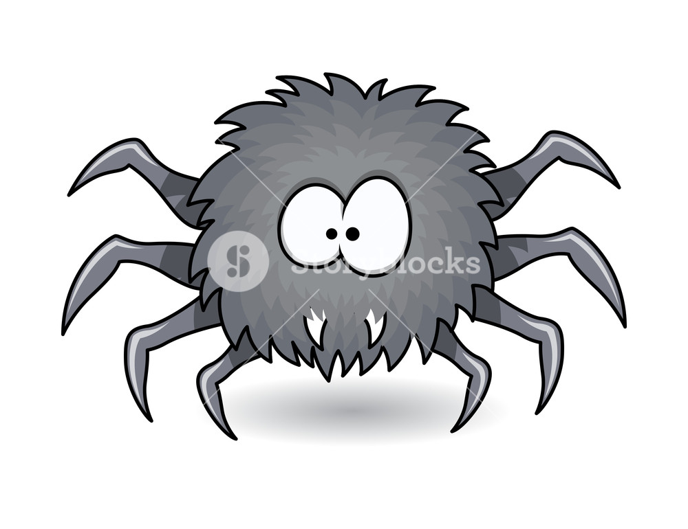 1000x770 Hunter Spider