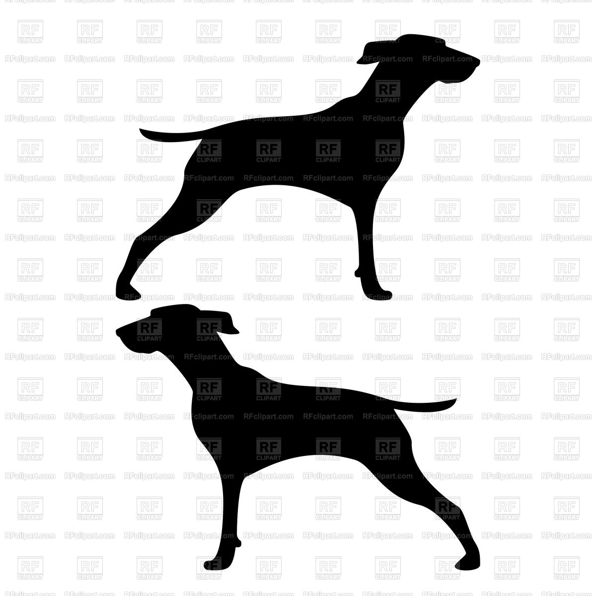 1200x1200 Hunter Dog Silhouettes Vector Image Of Silhouettes, Outlines