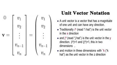 What Are Scalar And Vector Quantity Physics Notes For Class 450x250 What Are Scalar And Vector Quantity Physics Notes For Class