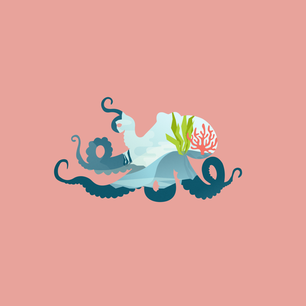 1000x1000 Vector Illustration Projects Dorothy Feng