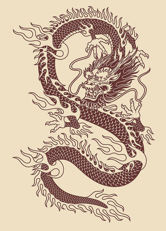 576x800 Traditional Asian Dragon Vector Illustration Art Print