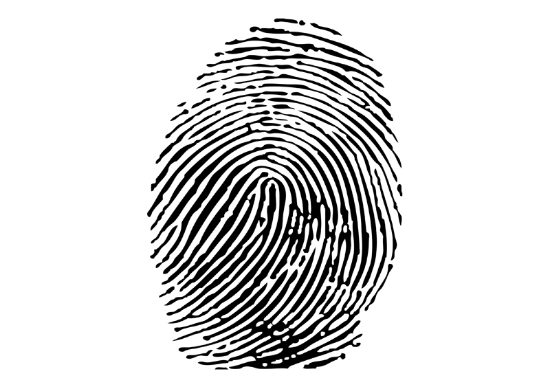 800x566 Vector Fingerprint