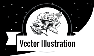 310x186 Advanced Certification Course In Vector Illustration Design
