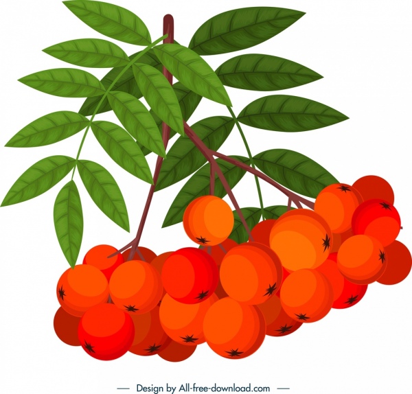 Cherry Fruit Vector Icon Free Download, Download Cherry Fruit Vector 600x574 Cherry Fruit Vector Icon Free Download, Download Cherry Fruit Vector