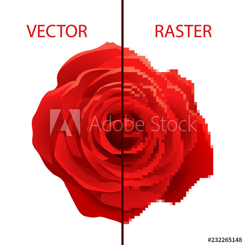 500x500 Example Of Vector And Raster Comparison, Difference Between