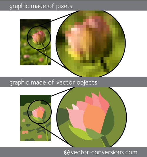 500x535 Photo To Vector Conversion