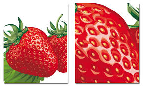 289x174 What Is Vector Graphics