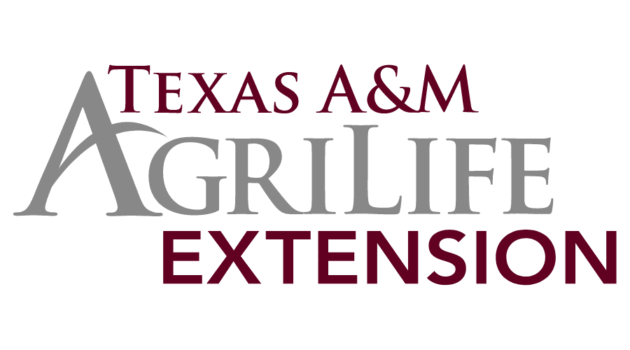 Texas Aampm Agrilife Extension Vector Logo Free Download 900x500 Texas Aampm Agrilife Extension Vector Logo Free Download
