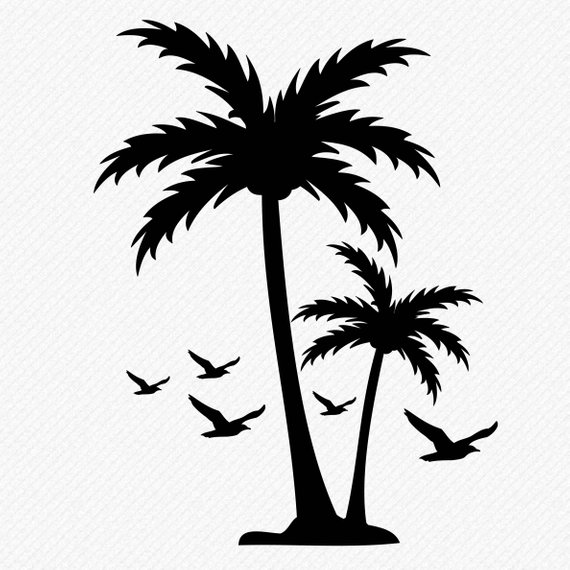 570x570 Palm File, Palm Tree Vector Products Palm Tree Crafts
