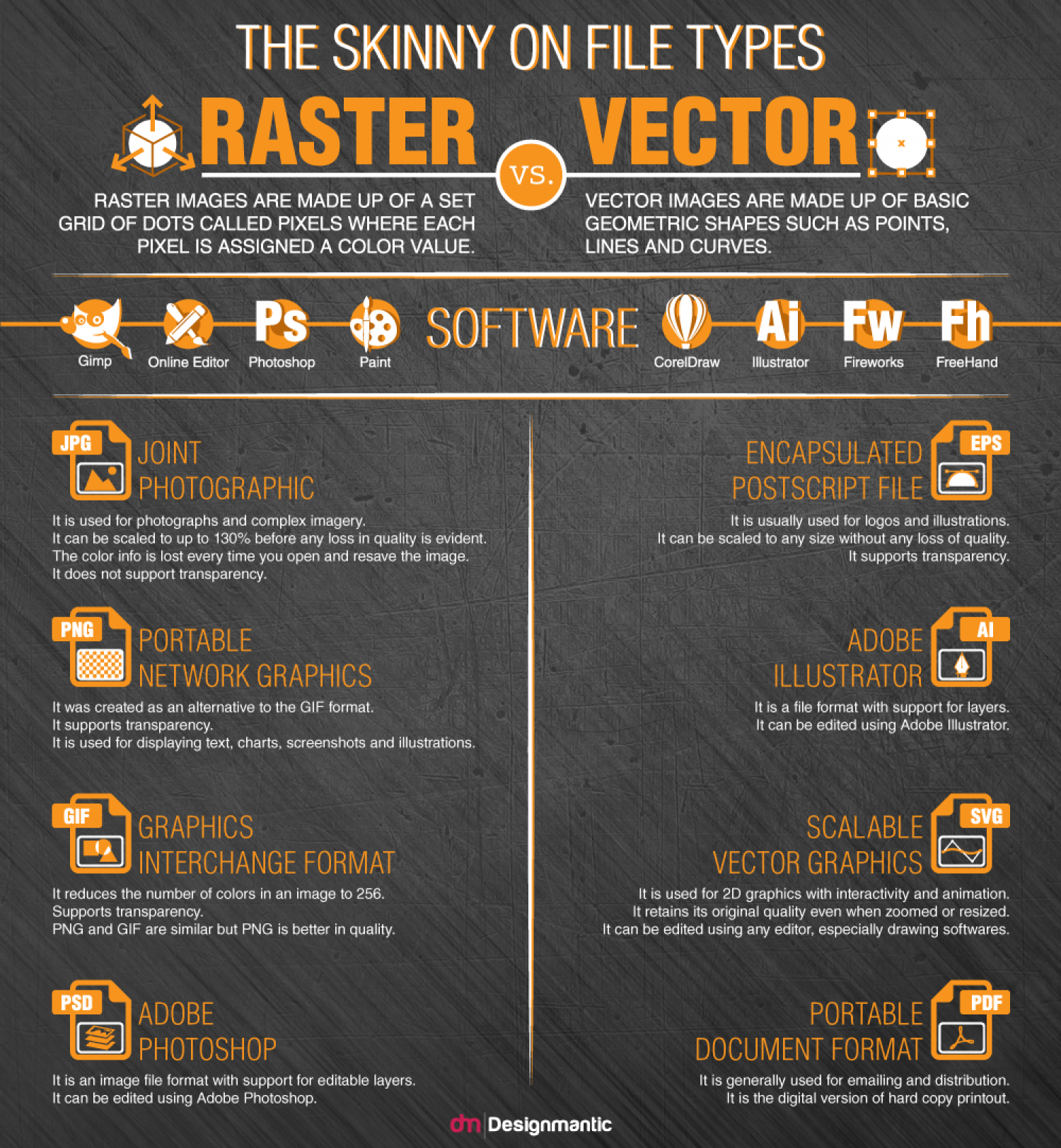 1500x1624 The Skinny On Types Raster Vs Vector Visual Ly