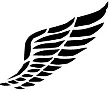 363x300 Wings Design In Vector Format