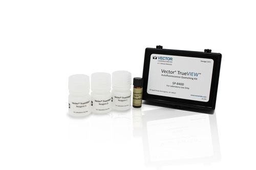 500x333 About Us Vector Labs