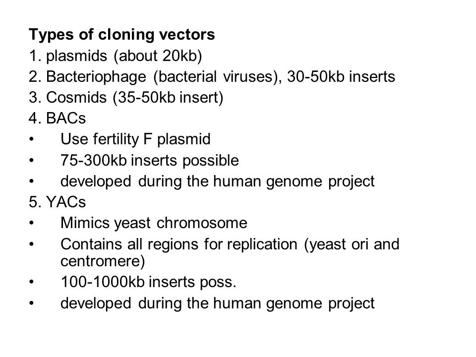 960x720 Types Of Cloning Vectors