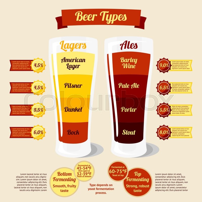 800x800 Types Of Beer Infographic, With Places Stock Vector Colourbox