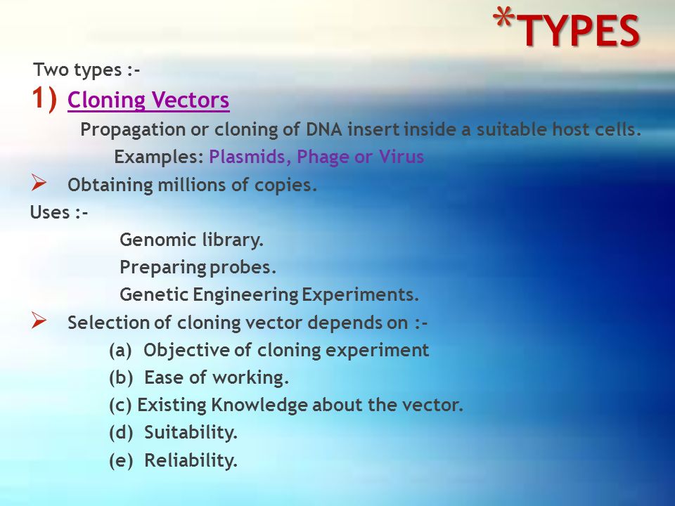 960x720 Vectors Types And Characteristics