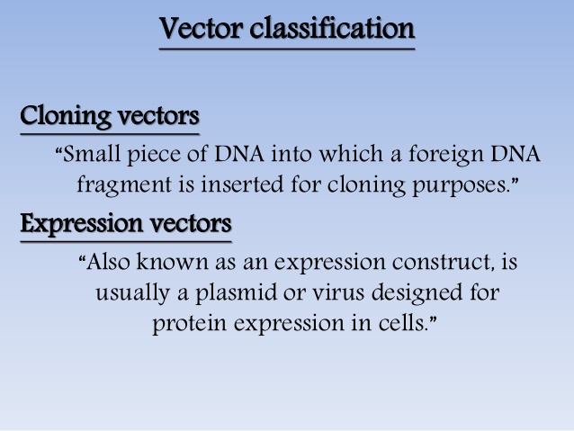 Vector Image Types At Vectorified Collection Of Vector Image Vector Image Types At Vectorified Collection Of Vector Image