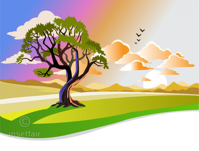 Colorful Nature Vector Illustration 800x608 Colorful Nature Vector Illustration