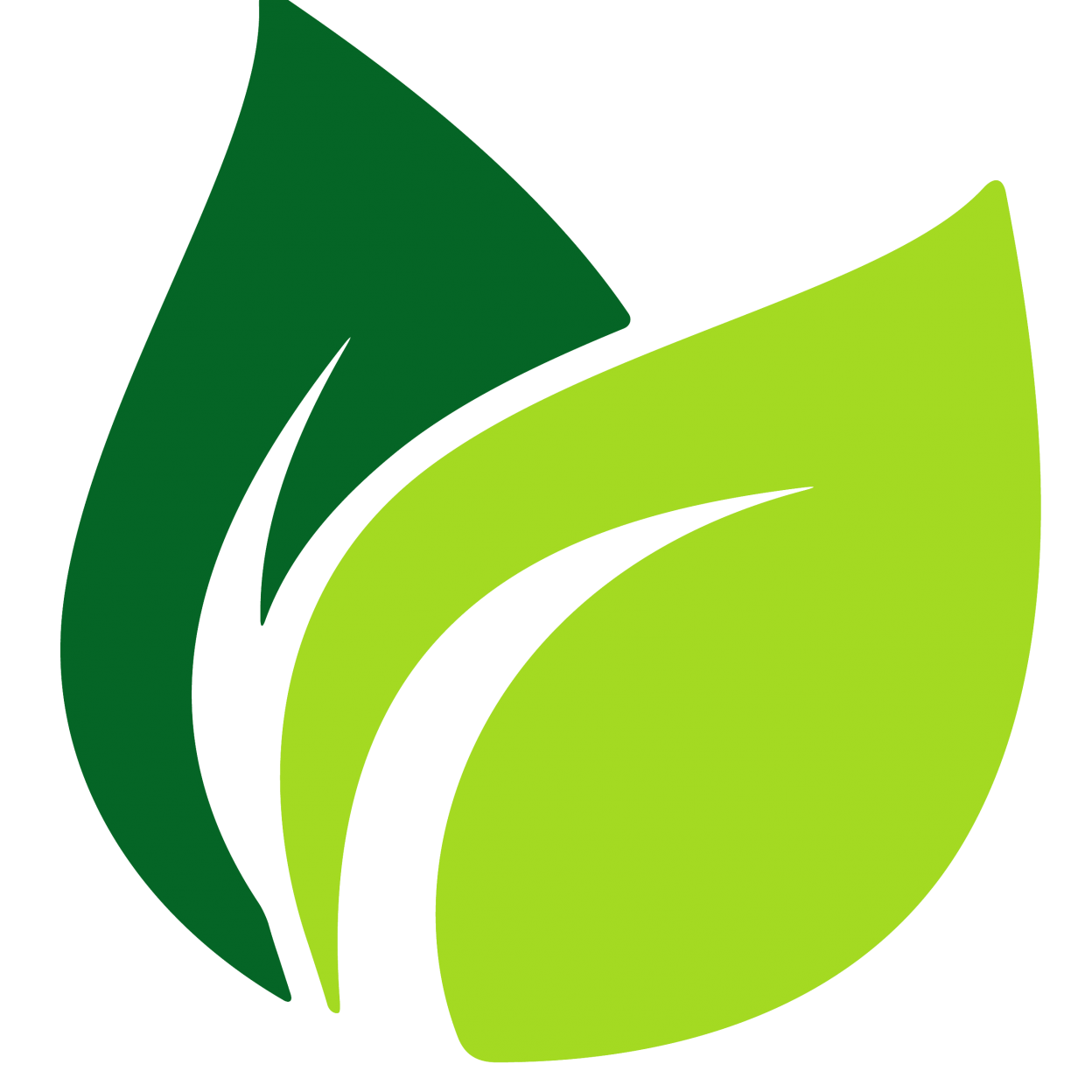 Leaf Vector Png Images In Collection 1248x1248 Leaf Vector Png Images In Collection