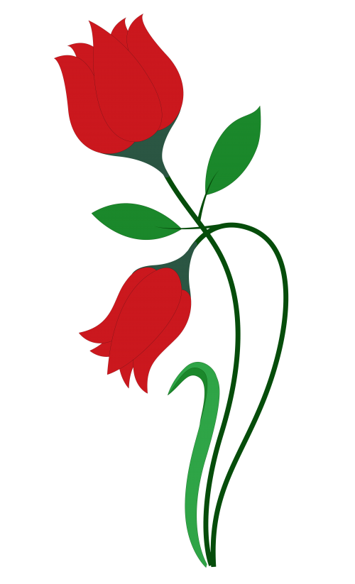 Rose Flower Vector Png Transparent Image 500x823 Rose Flower Vector Png Transparent Image