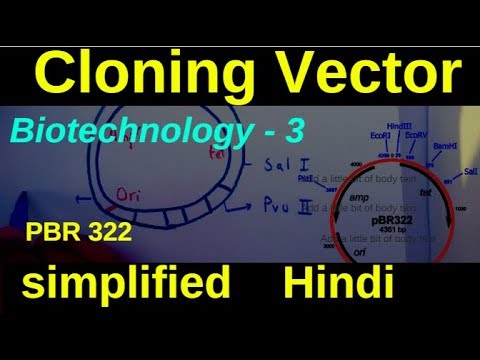 480x360 Cloning Vector