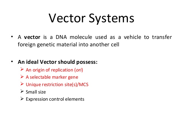 638x479 Microbial Biotechnology