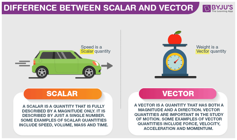 Vector In Real Life at Vectorified.com | Collection of Vector In Real