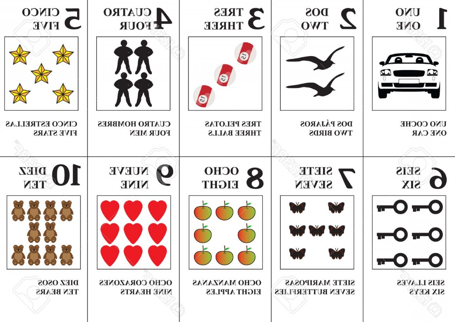 1560x1102 Photostock Vector Vector Spanish Flash Cards For Learning