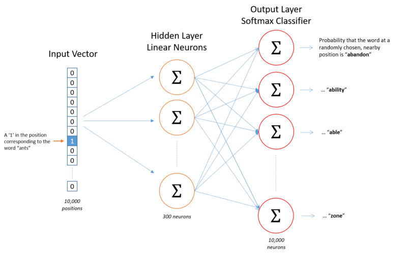 800x499 Training And Visualising Word Vectors