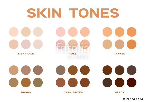 500x354 Skin Tone Index Color Infographic Vector Stock Image