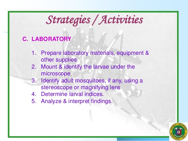 638x479 Dengue Vector Surveillance Final