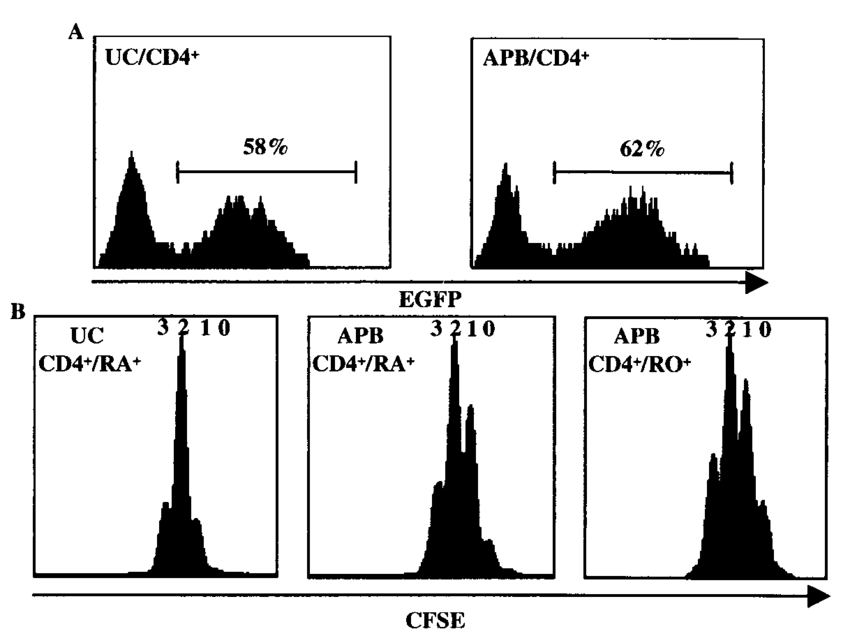 850x643 Hiv Based Vector Infection And Proliferation In Uc And Apb T