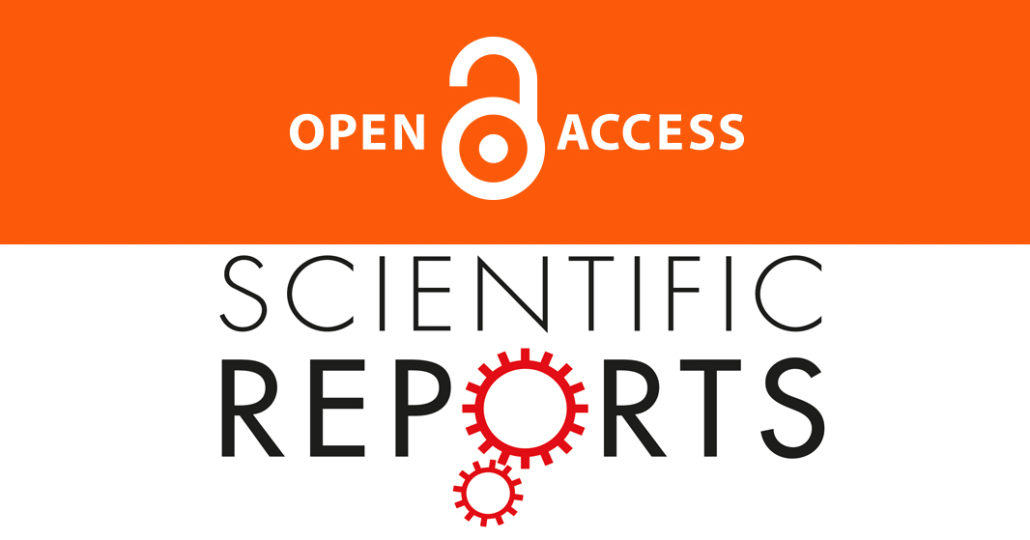 1030x540 A Lattice Model To Manage The Vector And The Infection