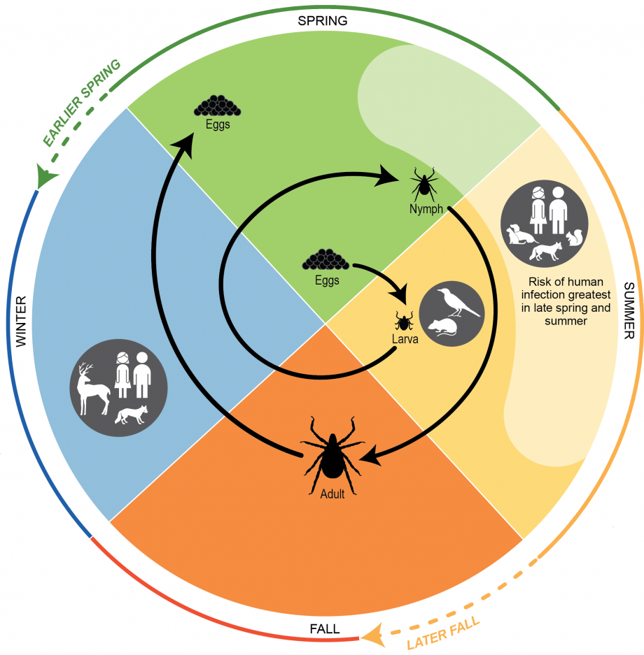920x937 Chapter Vector Borne Diseases Climate And Health Assessment