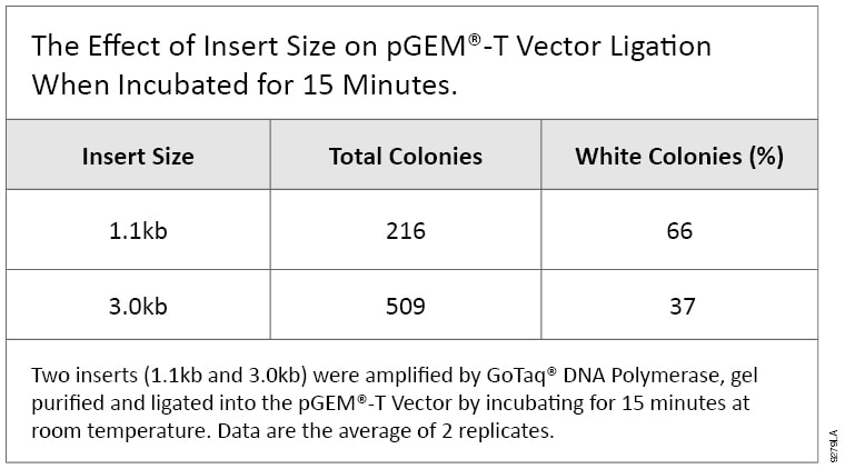 760x422 Shorten The Ligation Time For The Pgem T Vector Systems