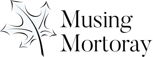 585x220 The Amortized Cost Of Vector Insert Is Musing Mortoray