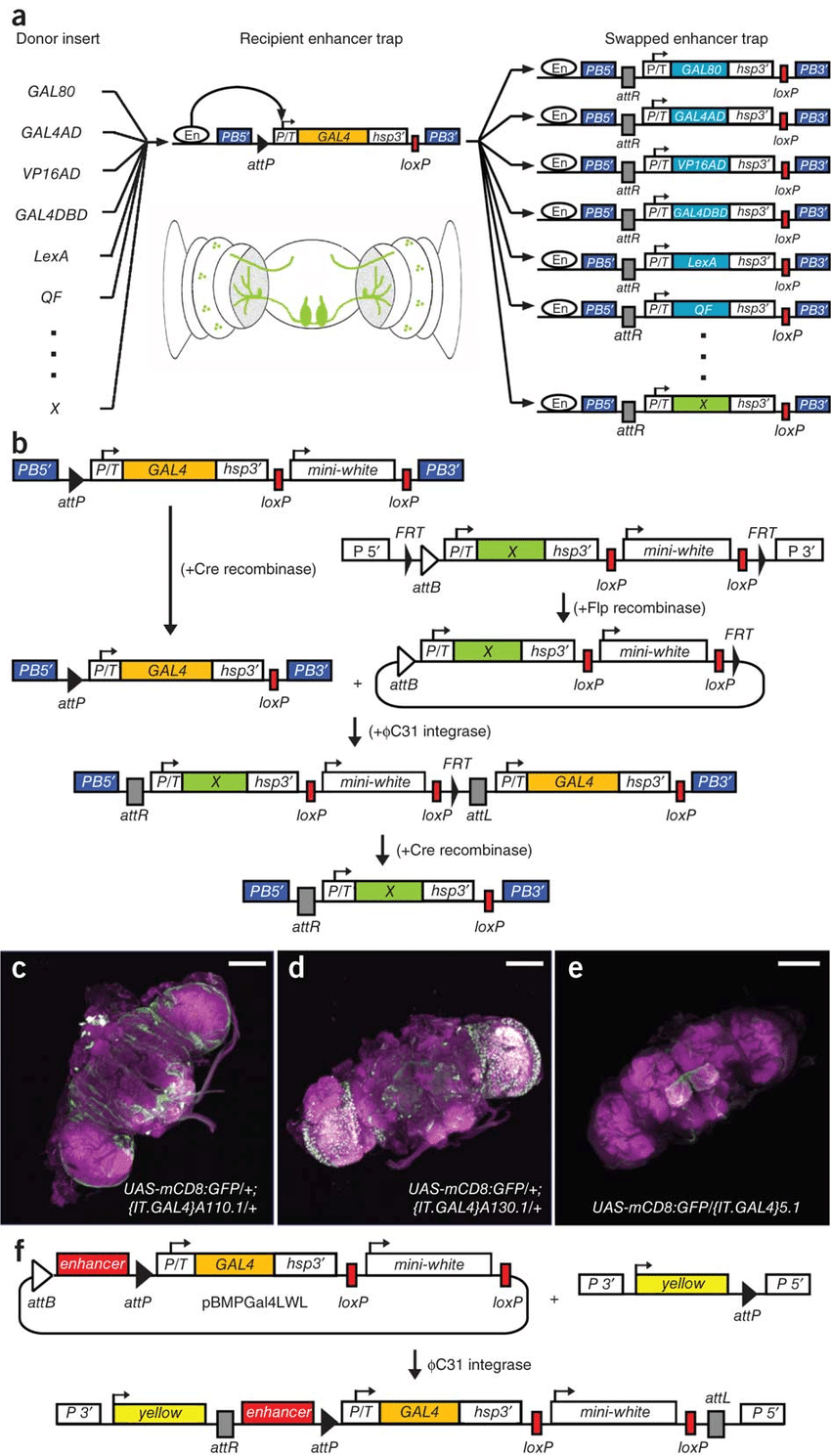 850x1489 The Insite System