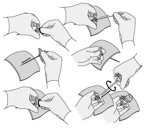 500x472 Vector Illustration