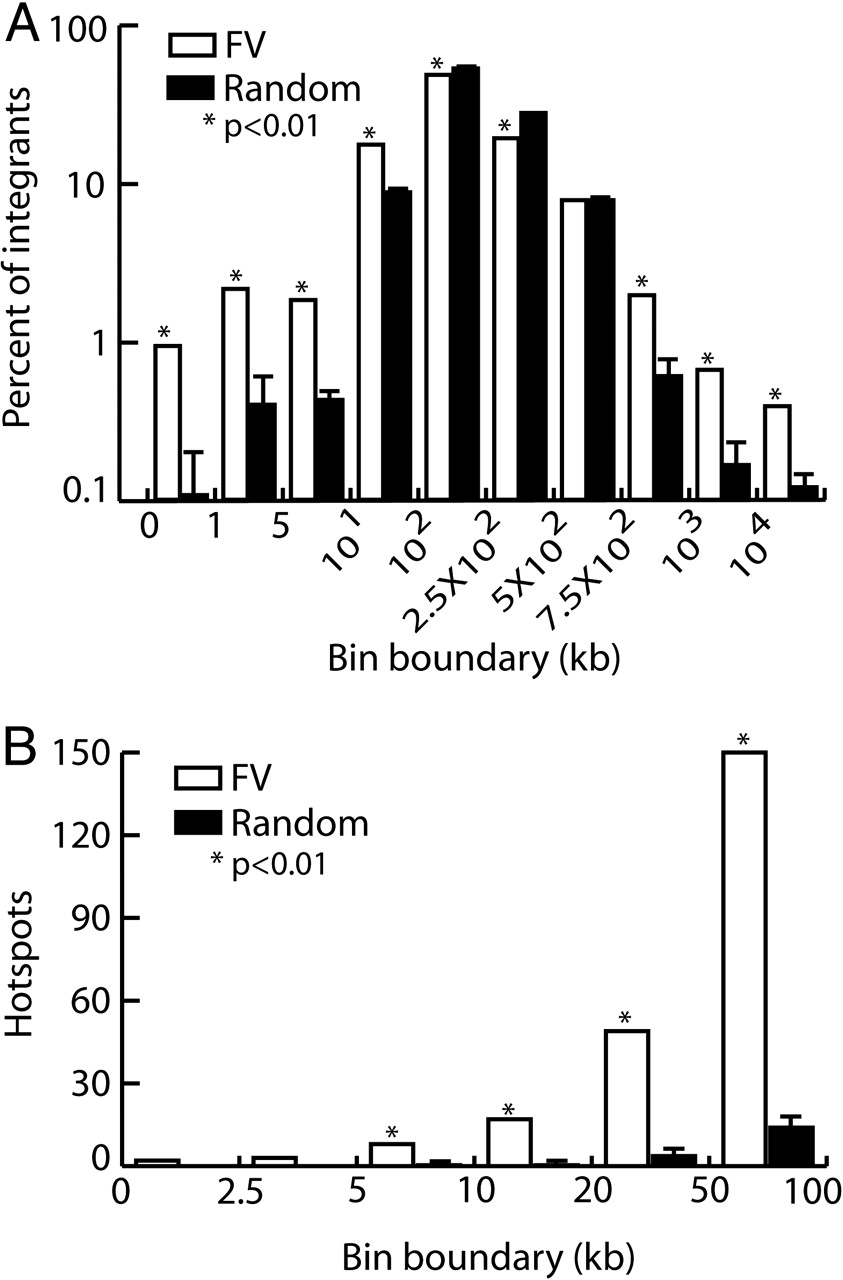 843x1280 Foamy Virus Vector Integration Sites In Normal Human Cells Pnas