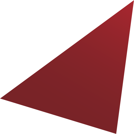 About Us Vector Security 521x519 About Us Vector Security