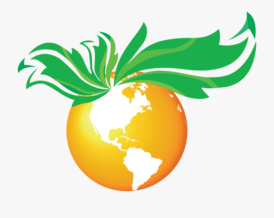 920x732 Dietetic Internship Curriculum And Calendar Food Science