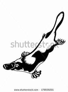 Best My Work Images Jackson, Tennessee, Athlete 236x318 Best My Work Images Jackson, Tennessee, Athlete