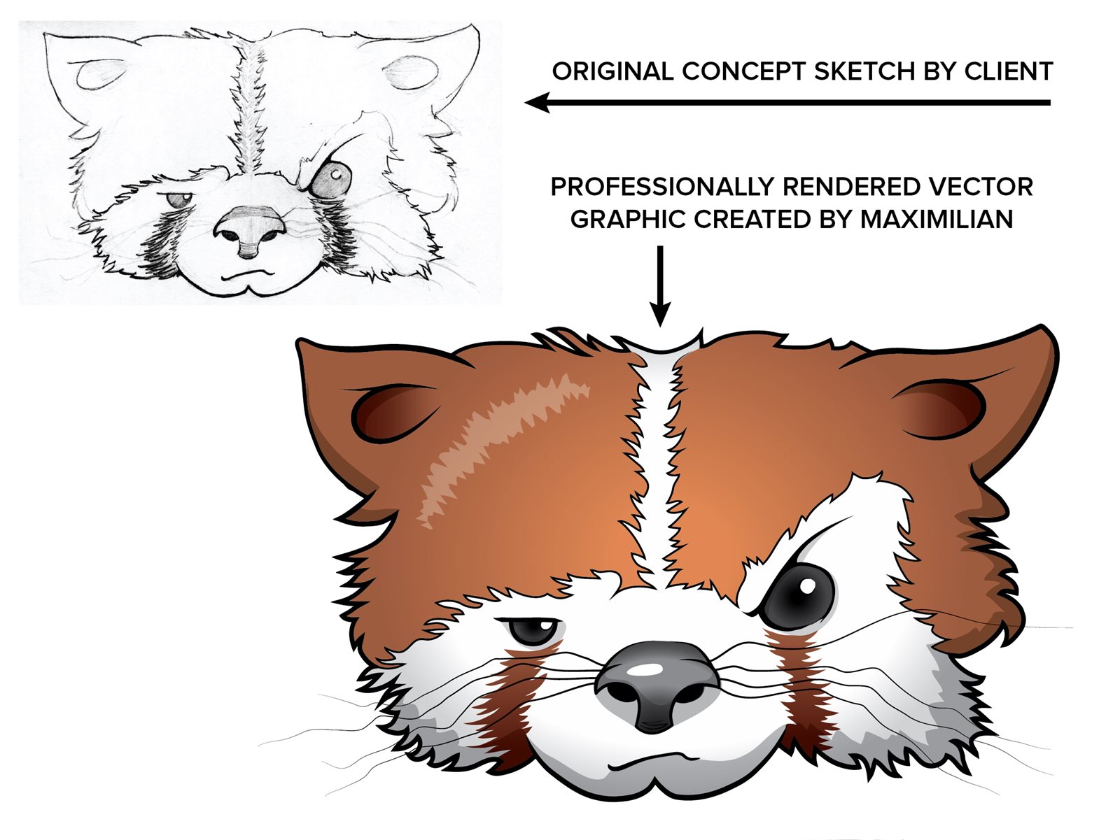 Image Vectorization Raster To Vector Conversion 1600x1201 Image Vectorization Raster To Vector Conversion