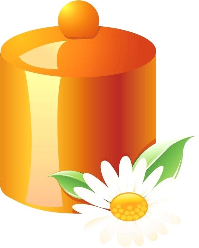 650x810 Flowers In Jar Vector