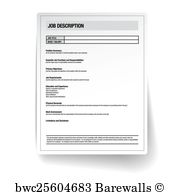 Vector Job Description