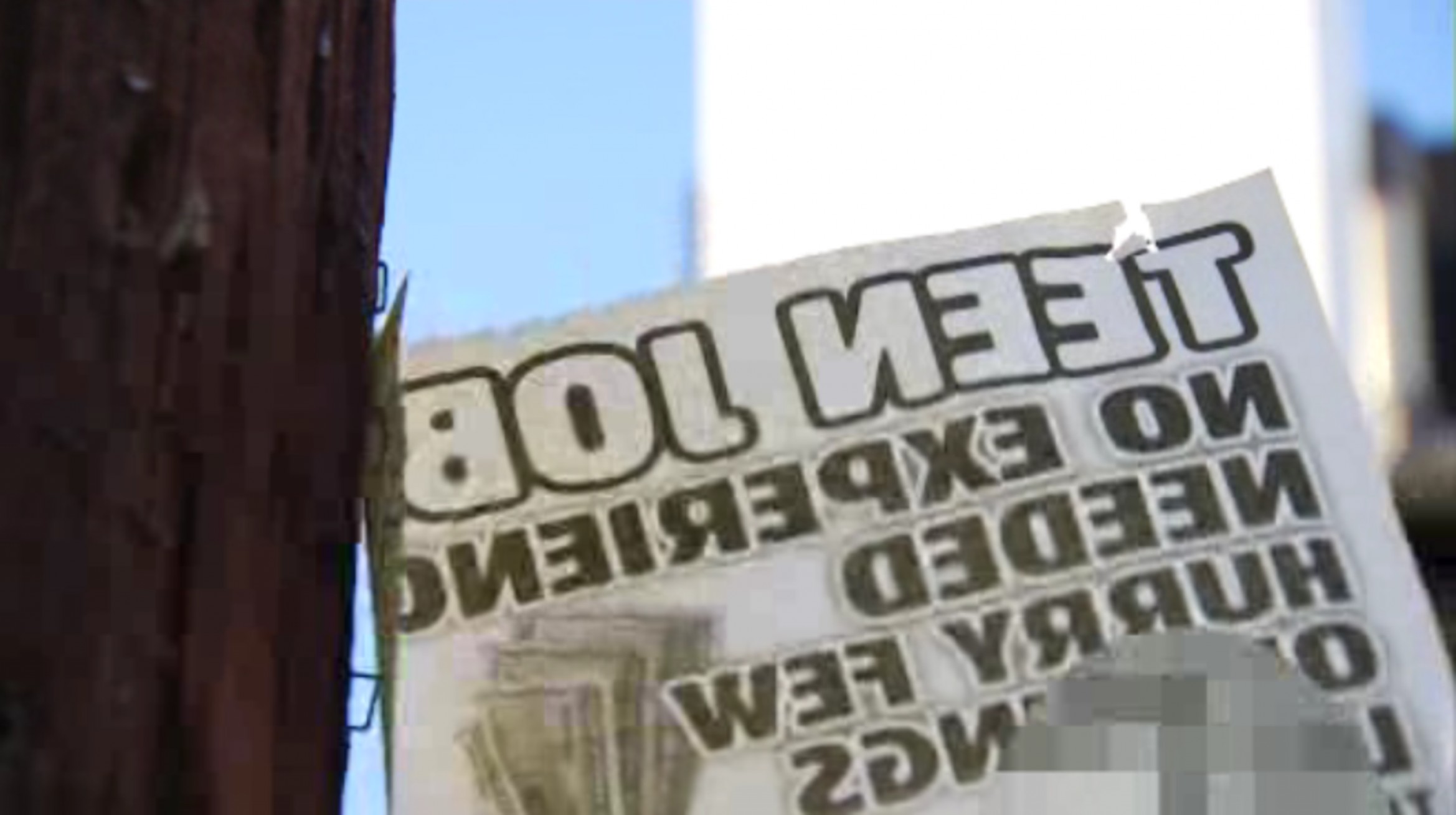 2338x1310 Vector Summer Work Scam Cqrecords