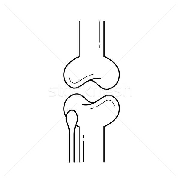 600x600 Knee Joint Line Icon Vector Illustration Andrei Krauchuk