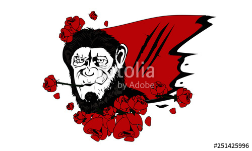 500x300 King Kong Monkey Rose Red Flower Stock Image And Royalty Free