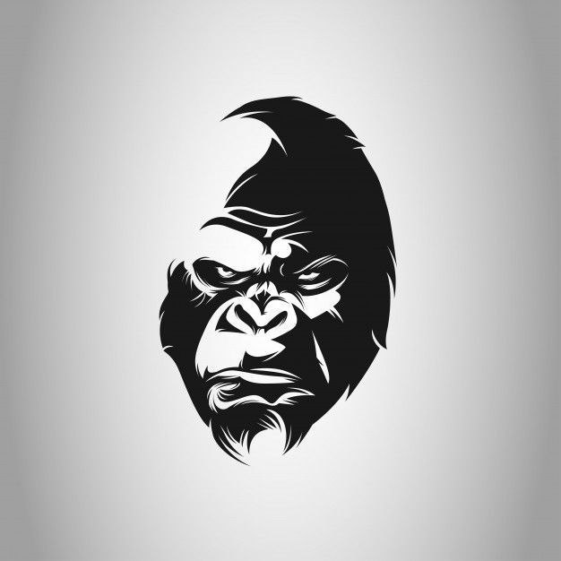 626x626 King Kong Head Vector Premium Vector Coffee In Gorilla